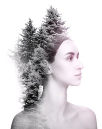 Double exposure of beautiful woman and coniferous trees on white background, color toned