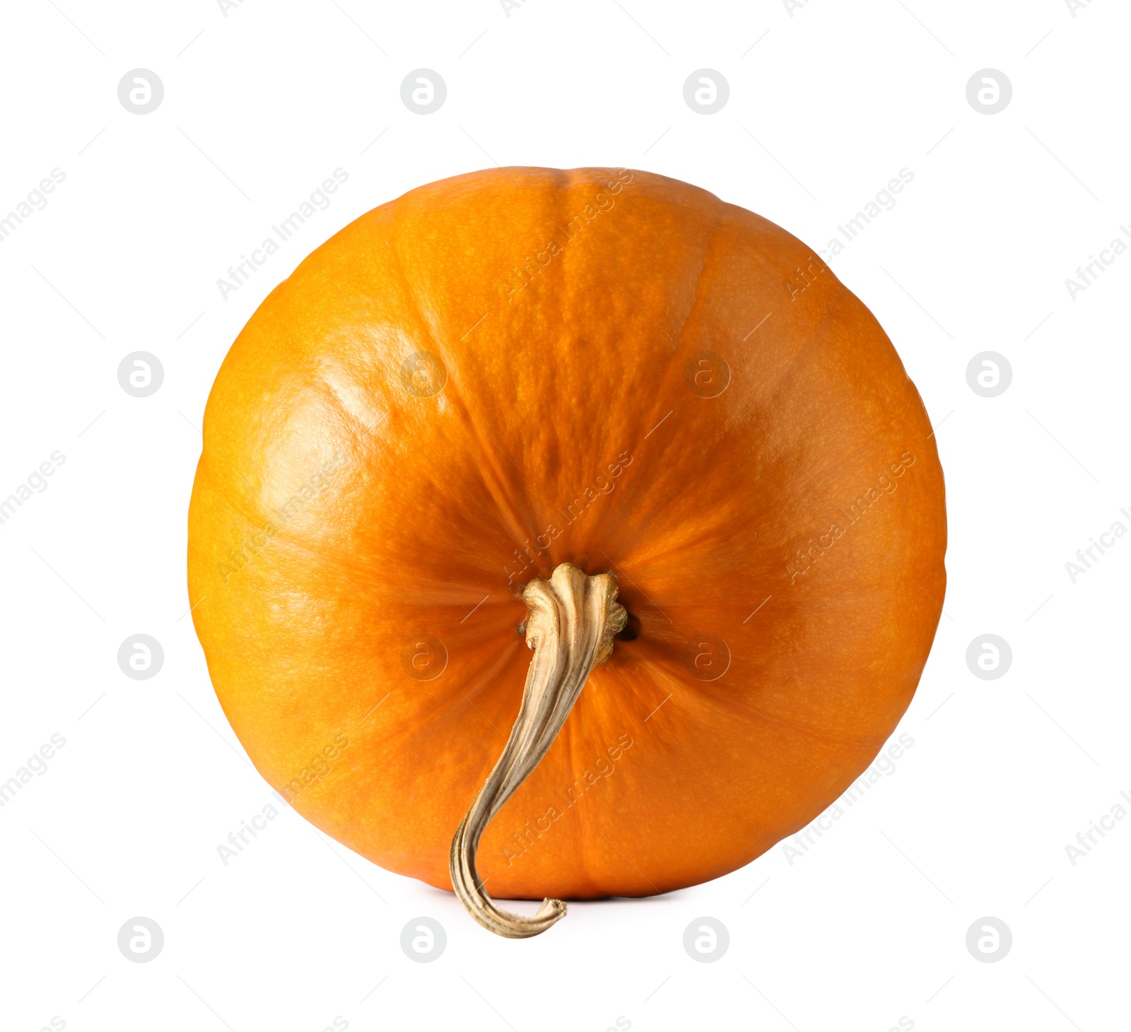 Photo of One fresh orange pumpkin isolated on white