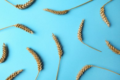 Photo of Many ears of wheat on light blue background, flat lay