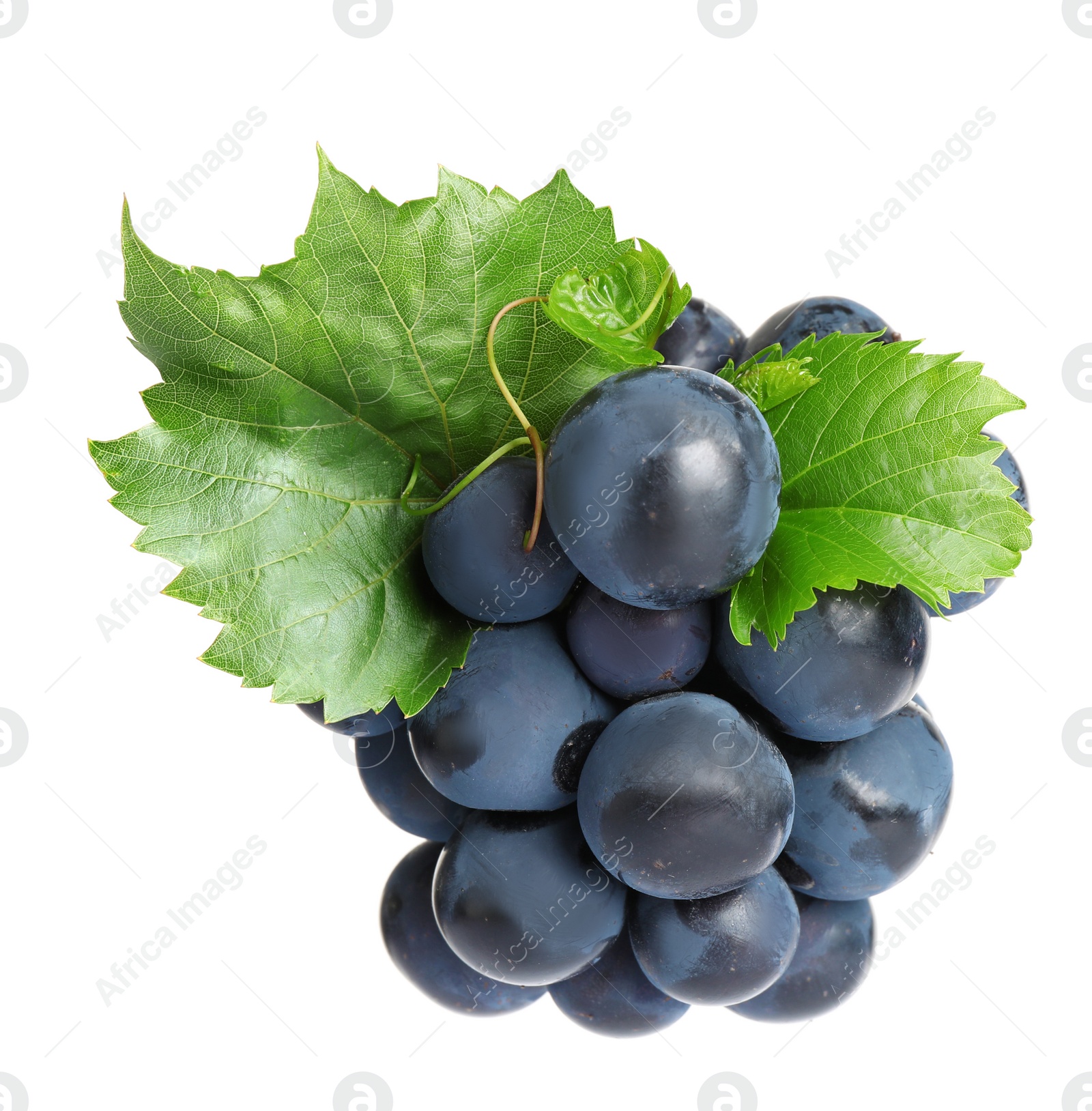 Photo of Fresh ripe juicy black grapes isolated on white