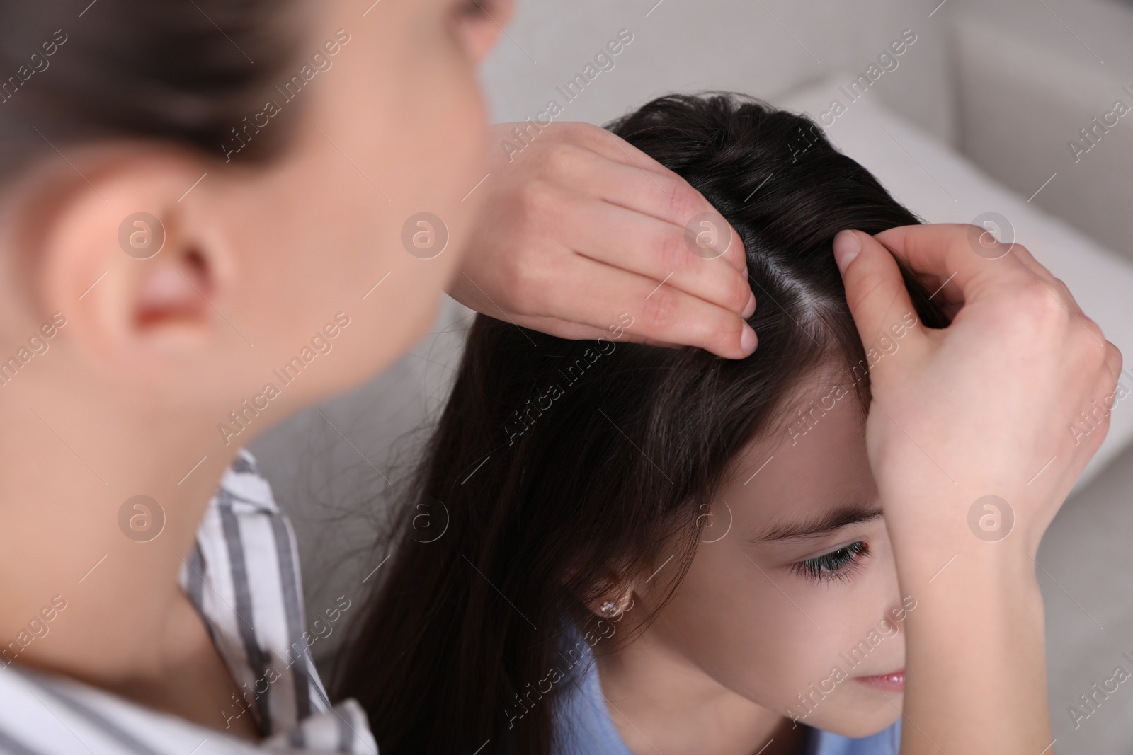 Photo of Mother examining her daughter's hair indoors. Anti lice treatment