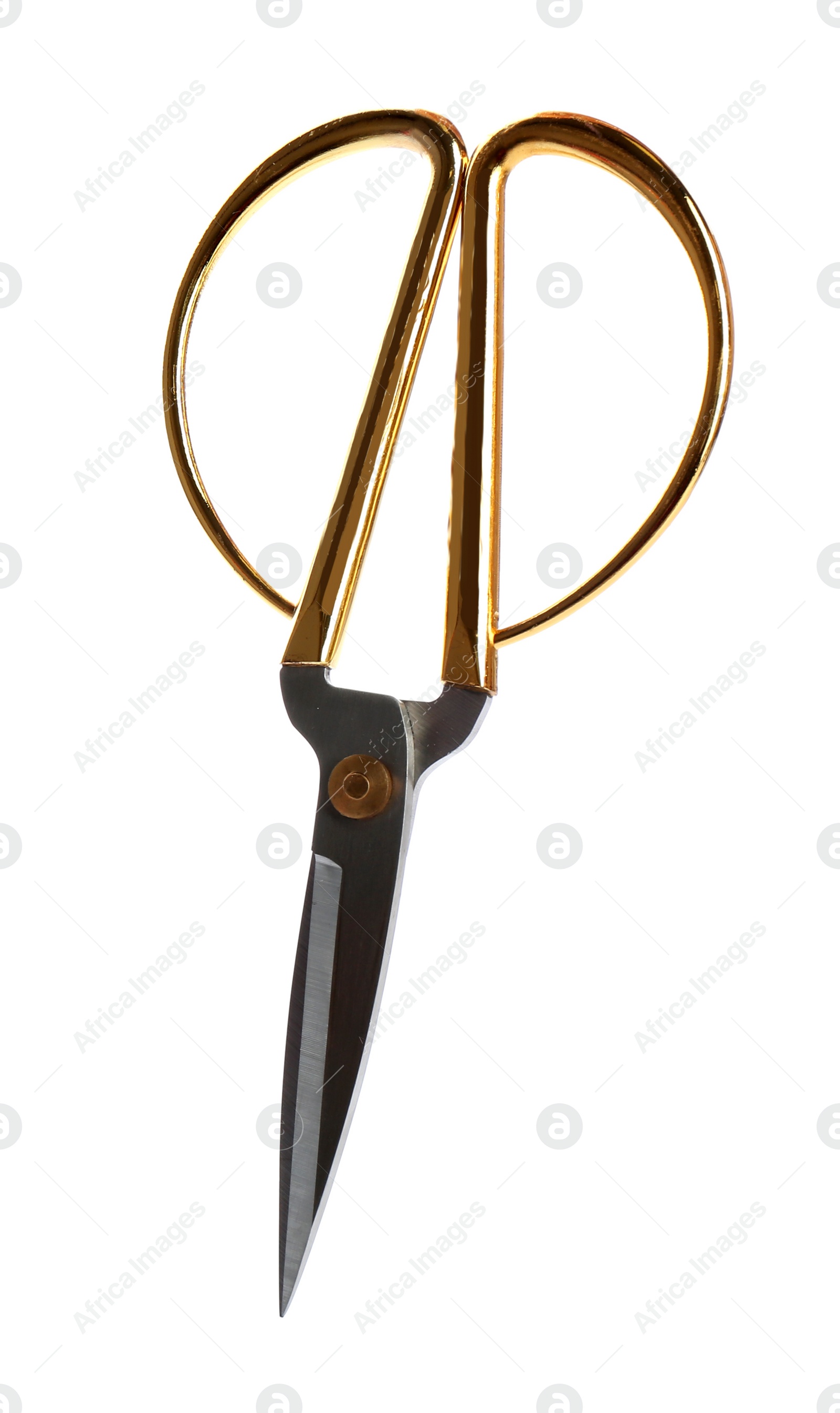 Photo of Pair of sharp sewing scissors on white background