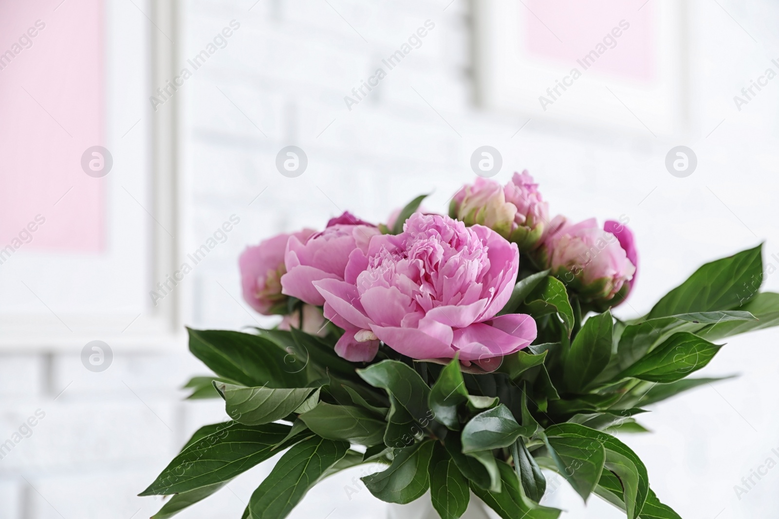 Photo of Bouquet of beautiful peonies at white wall in room, space for text