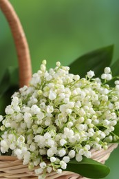 Photo of Wicker basket with beautiful lily of the valley flowers on blurred green background, closeup