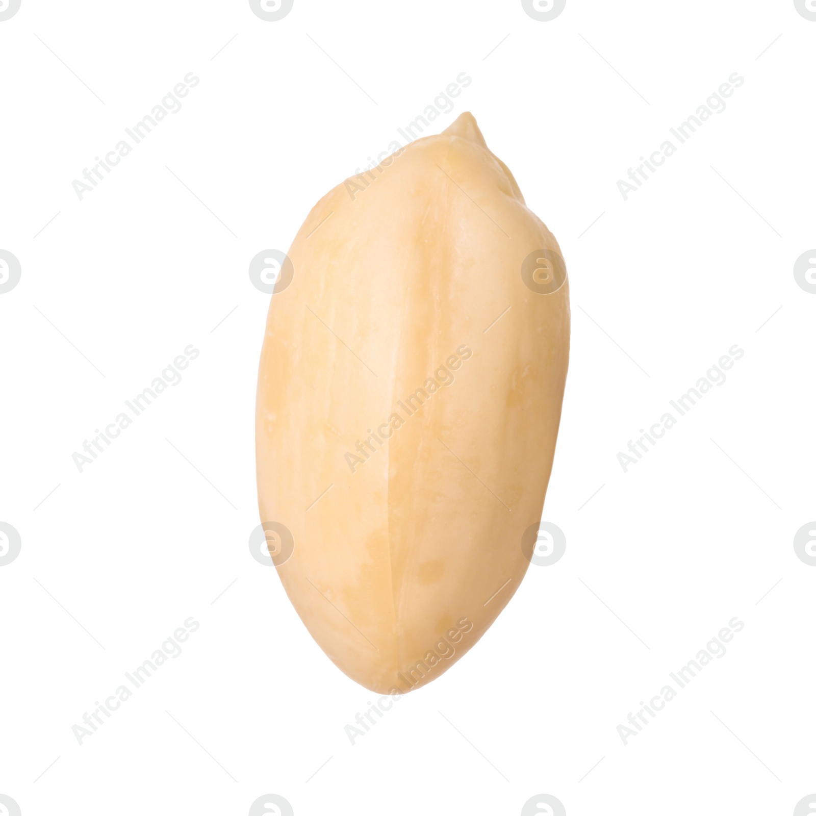 Photo of One fresh peeled peanut isolated on white