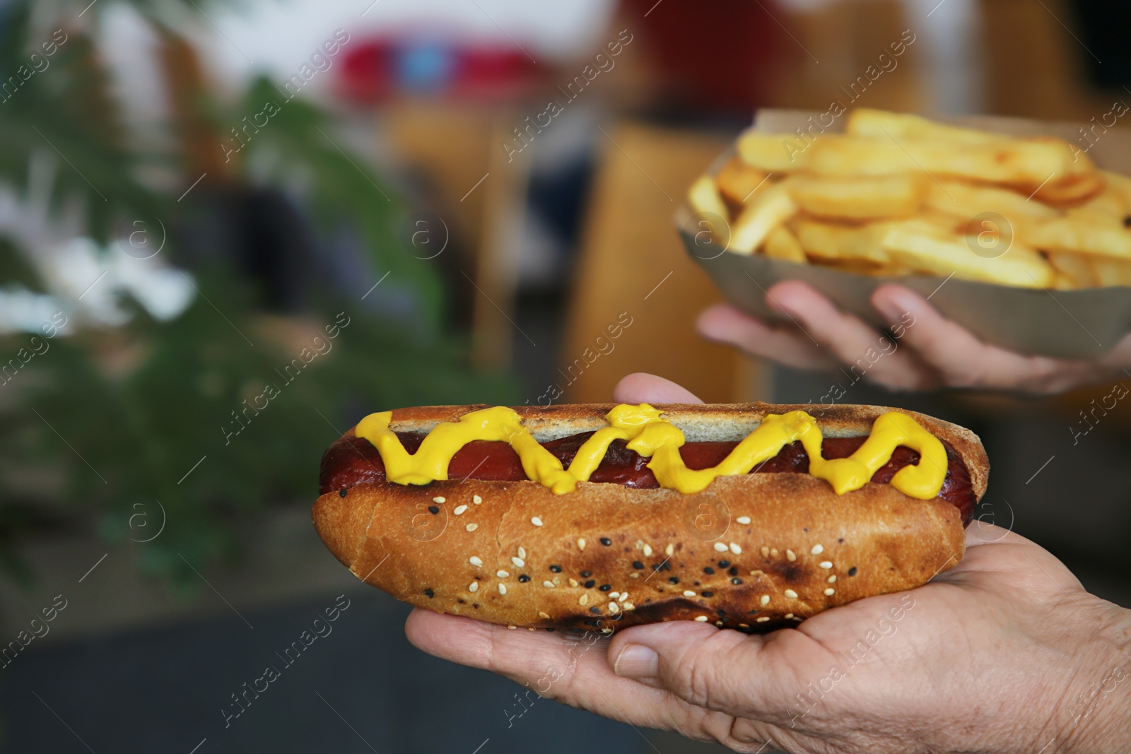 Photo of Woman holding fresh tasty hot dog with mustard and french fries in cafe, closeup. Space for text