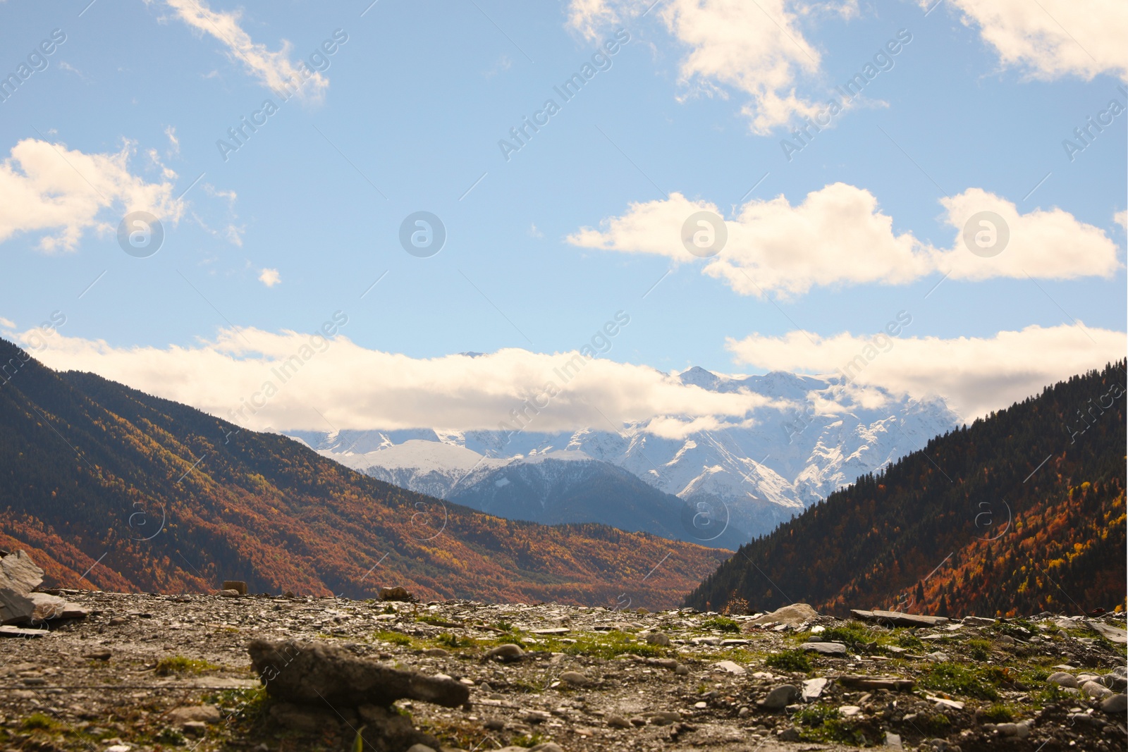 Photo of Picturesque landscape of high mountains with forest under blue cloudy sky