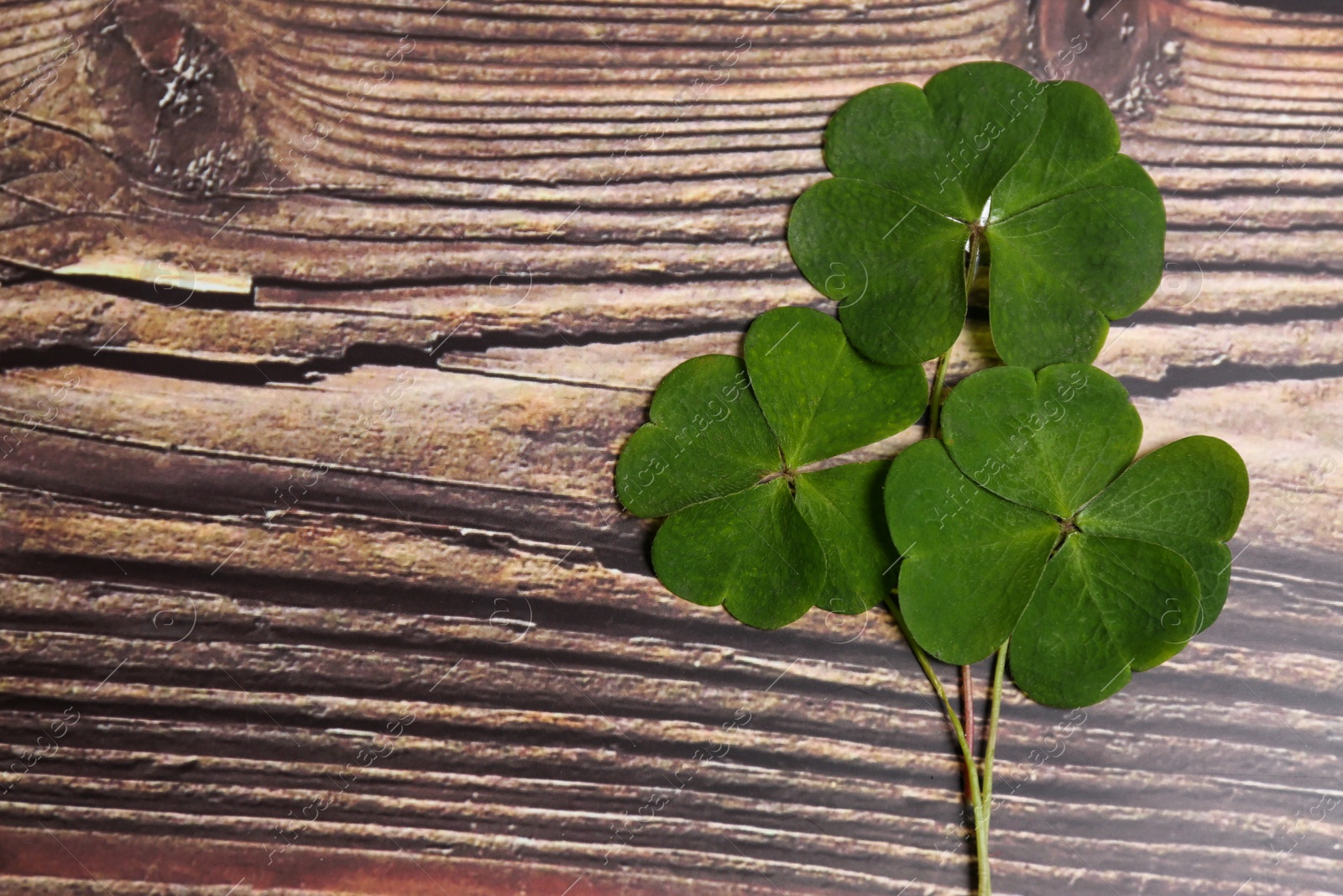 Photo of Beautiful green clover leaves on wooden table, flat lay. Space for text