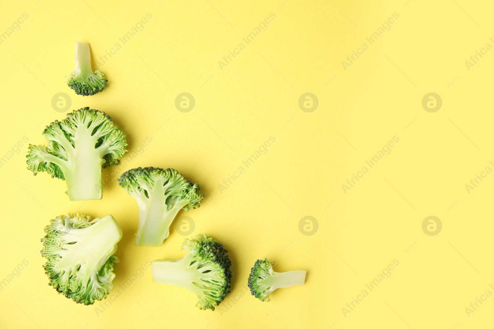 Flat lay composition with fresh green broccoli on color background. Space for text Photo of Flat lay composition with fresh green broccoli on color background. Space for text