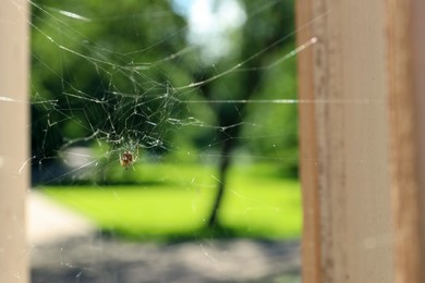 Photo of Cobweb and spider on building outdoors, closeup. Space for text