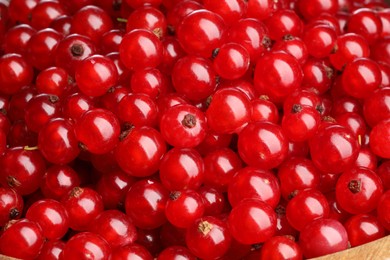 Photo of Many tasty fresh red currants as background, closeup