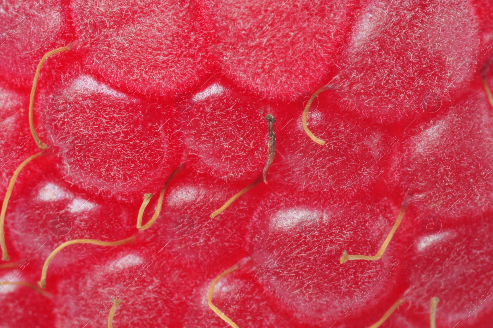 Photo of Texture of ripe raspberry as background, macro view. Fresh berry