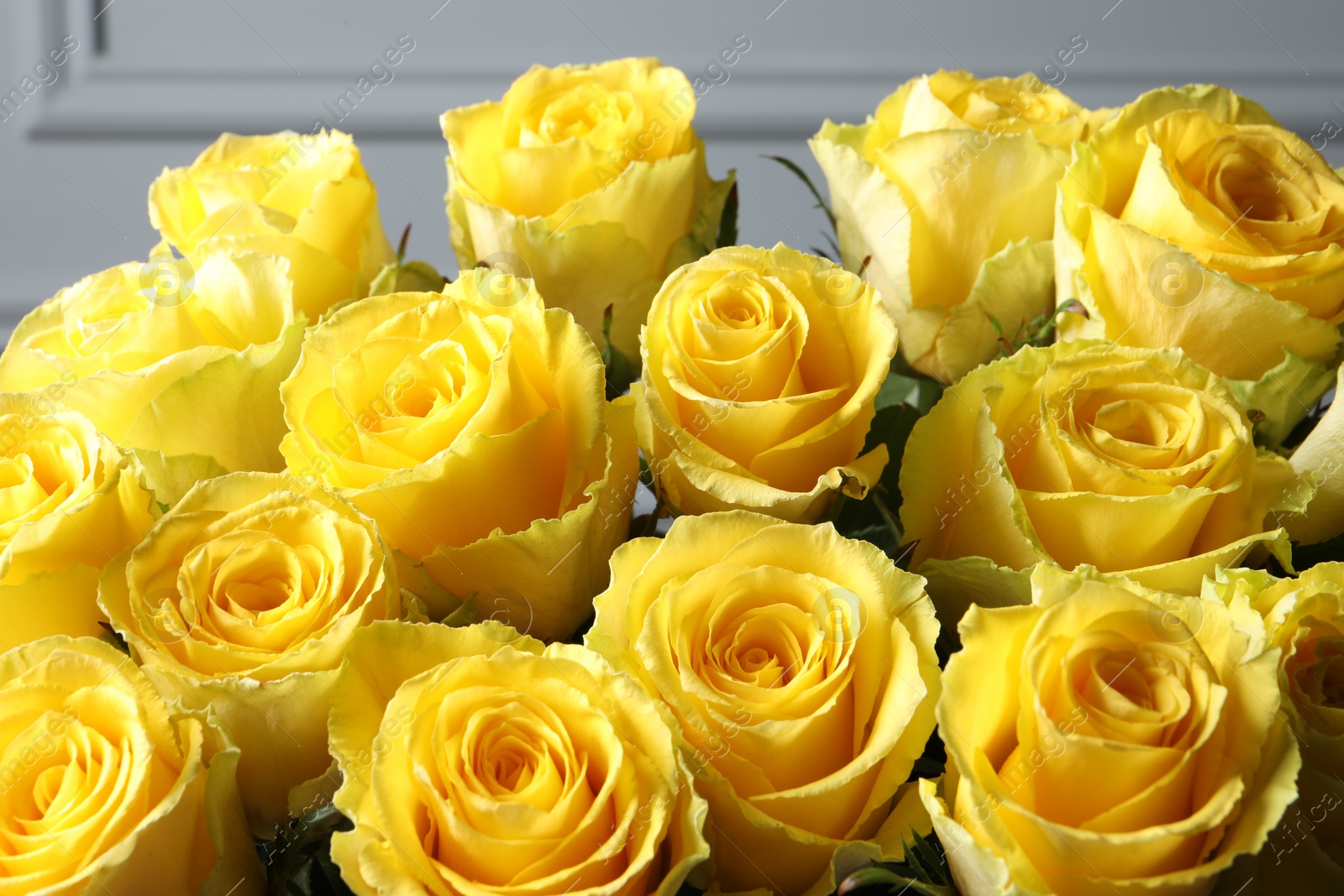 Photo of Beautiful bouquet of yellow roses near light wall, closeup