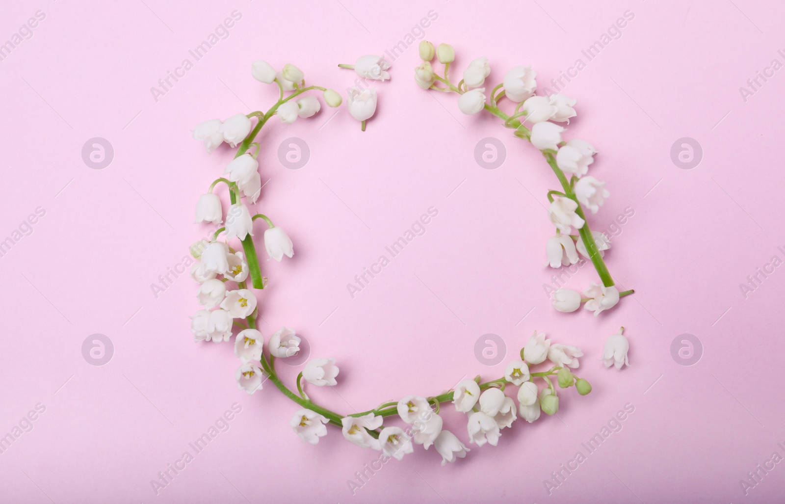Photo of Frame made with lily of the valley flowers on pink background, flat lay. Space for text