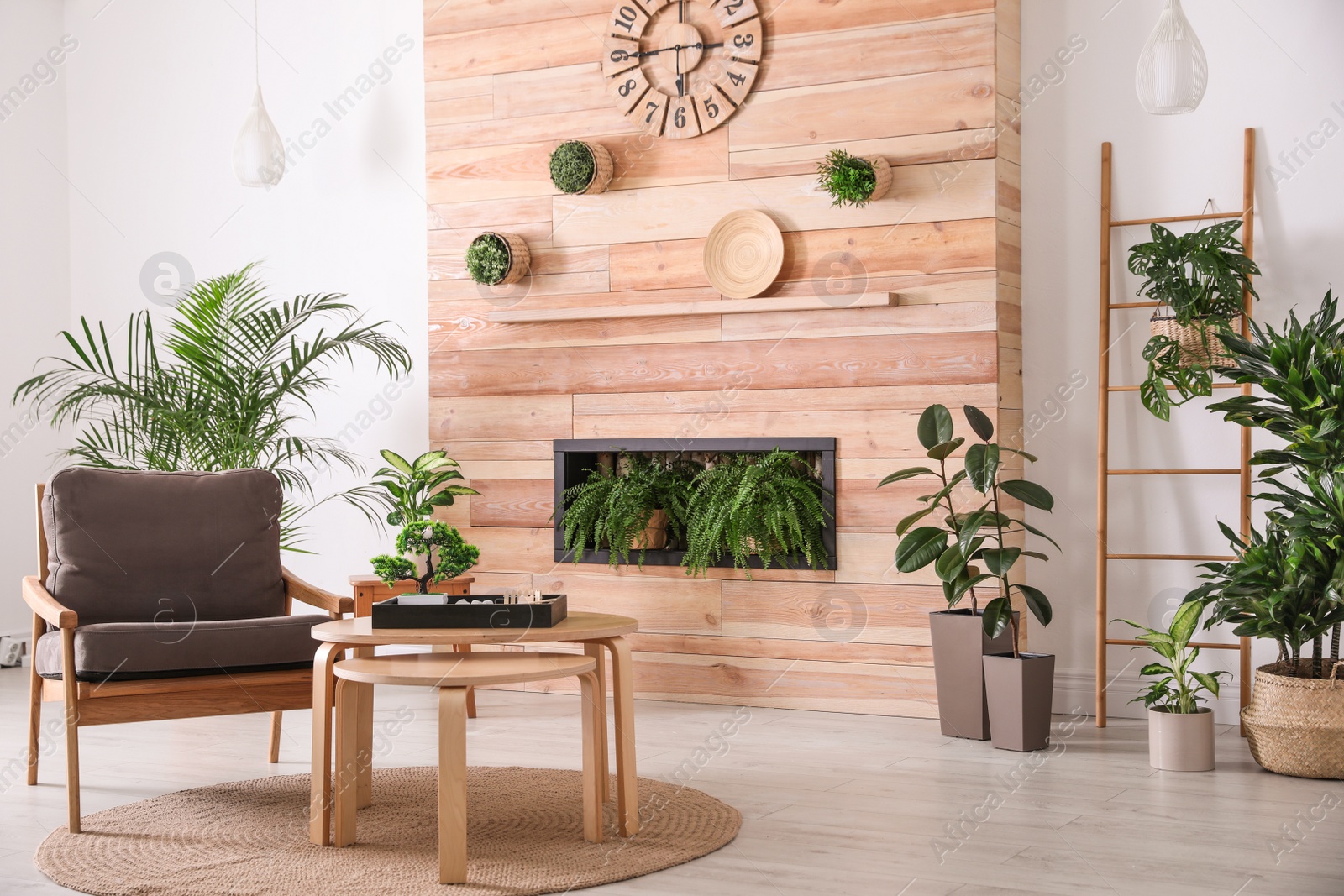 Photo of Stylish living room interior with armchair, green plants and miniature zen garden. Home design ideas