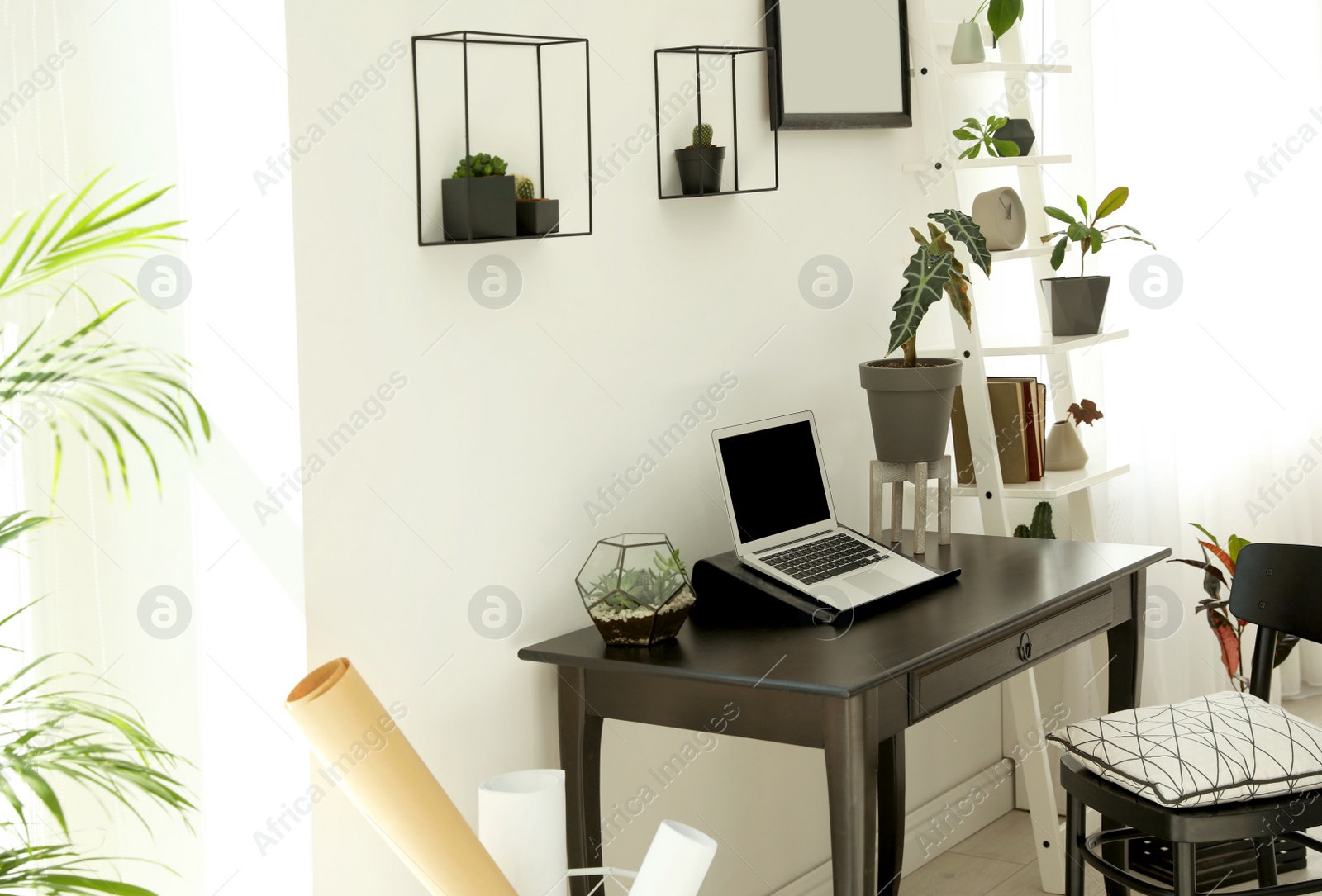 Photo of Trendy room interior with different home plants and laptop on table. Space for text