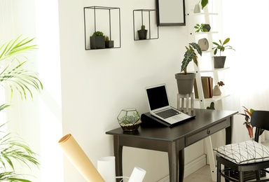 Trendy room interior with different home plants and laptop on table. Space for text