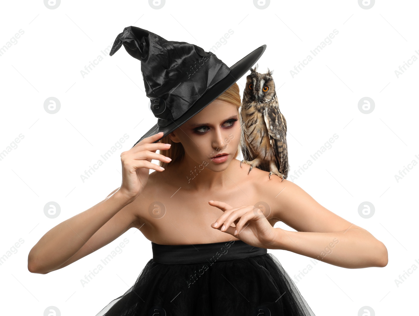 Photo of Witch in black hat with owl isolated on white. Scary fantasy character