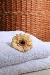 Photo of Stacked terry towels and flower on white table, closeup. Space for text