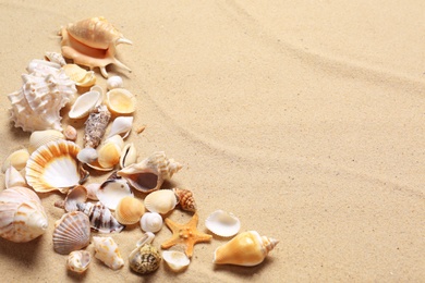 Photo of Beautiful seashells and starfish on beach sand, space for text. Summer vacation