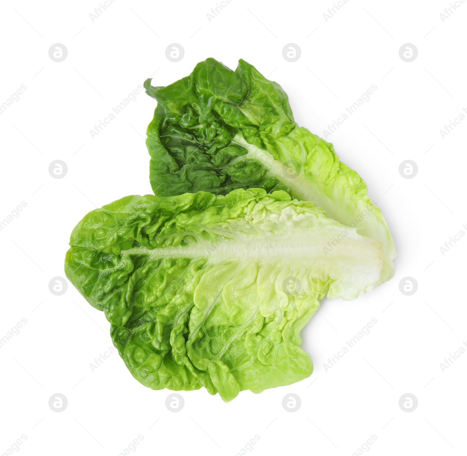 Photo of Fresh leaves of green romaine lettuce isolated on white, top view