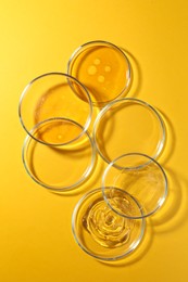 Petri dishes with liquids on orange background, flat lay