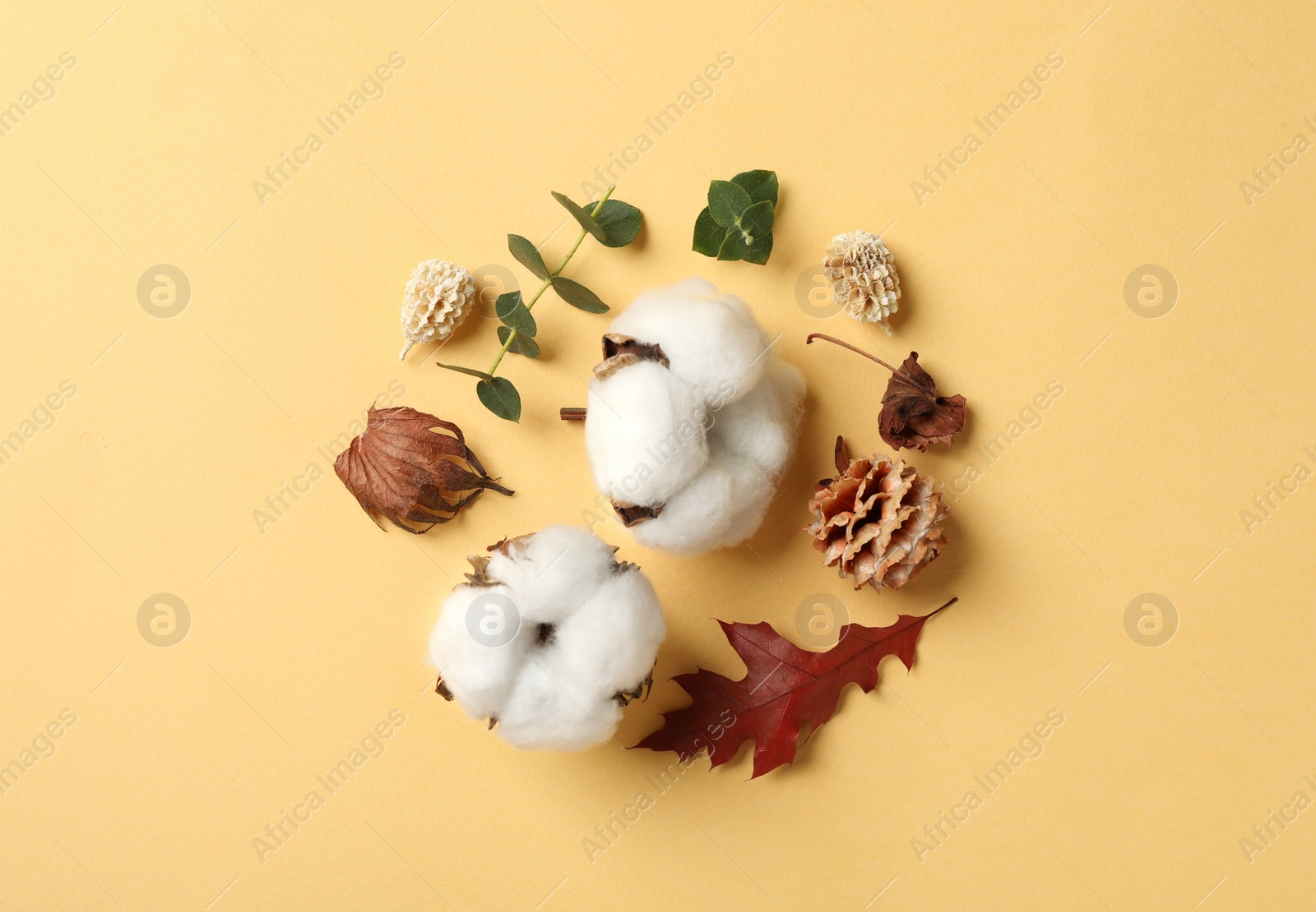 Photo of Flat lay composition with cotton flowers on yellow background