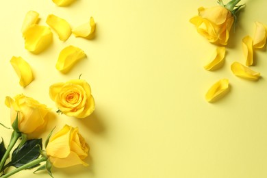 Beautiful roses on yellow background, flat lay. Space for text