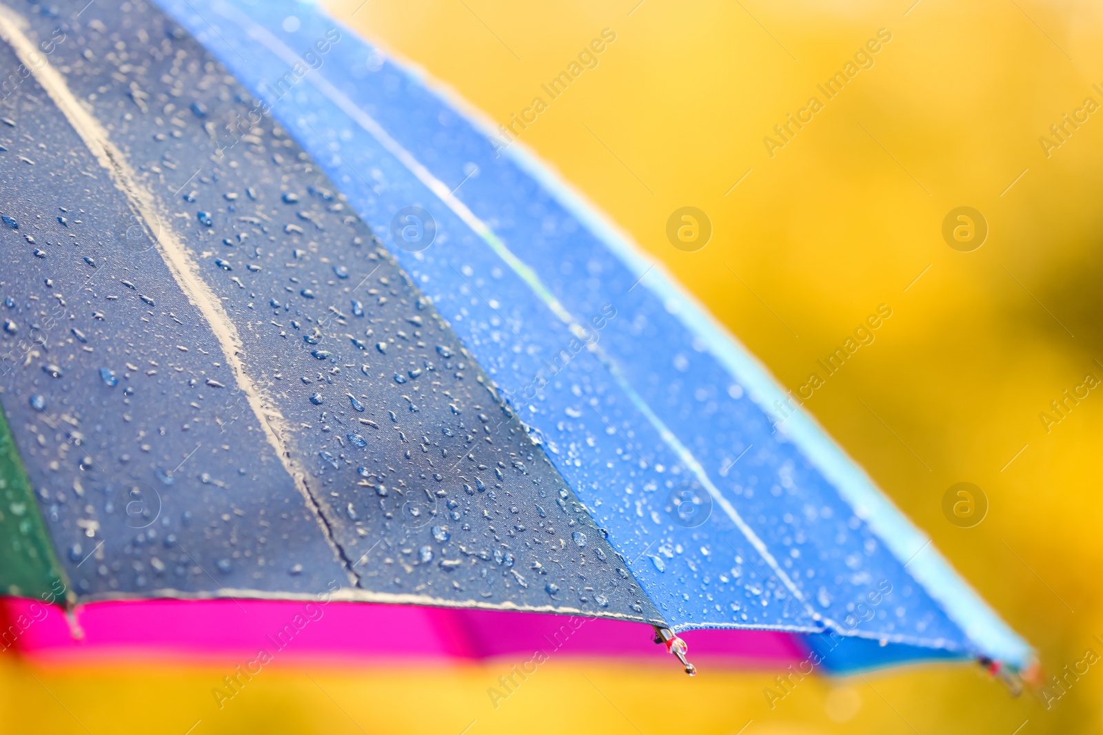 Photo of Bright color umbrella under rain outdoors, closeup