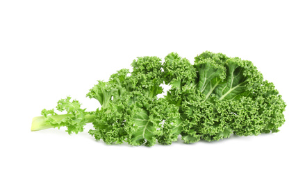 Photo of Fresh green kale leaf isolated on white