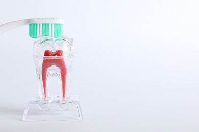 Photo of Tooth model and brush on white background, space for text. Dentist consultation