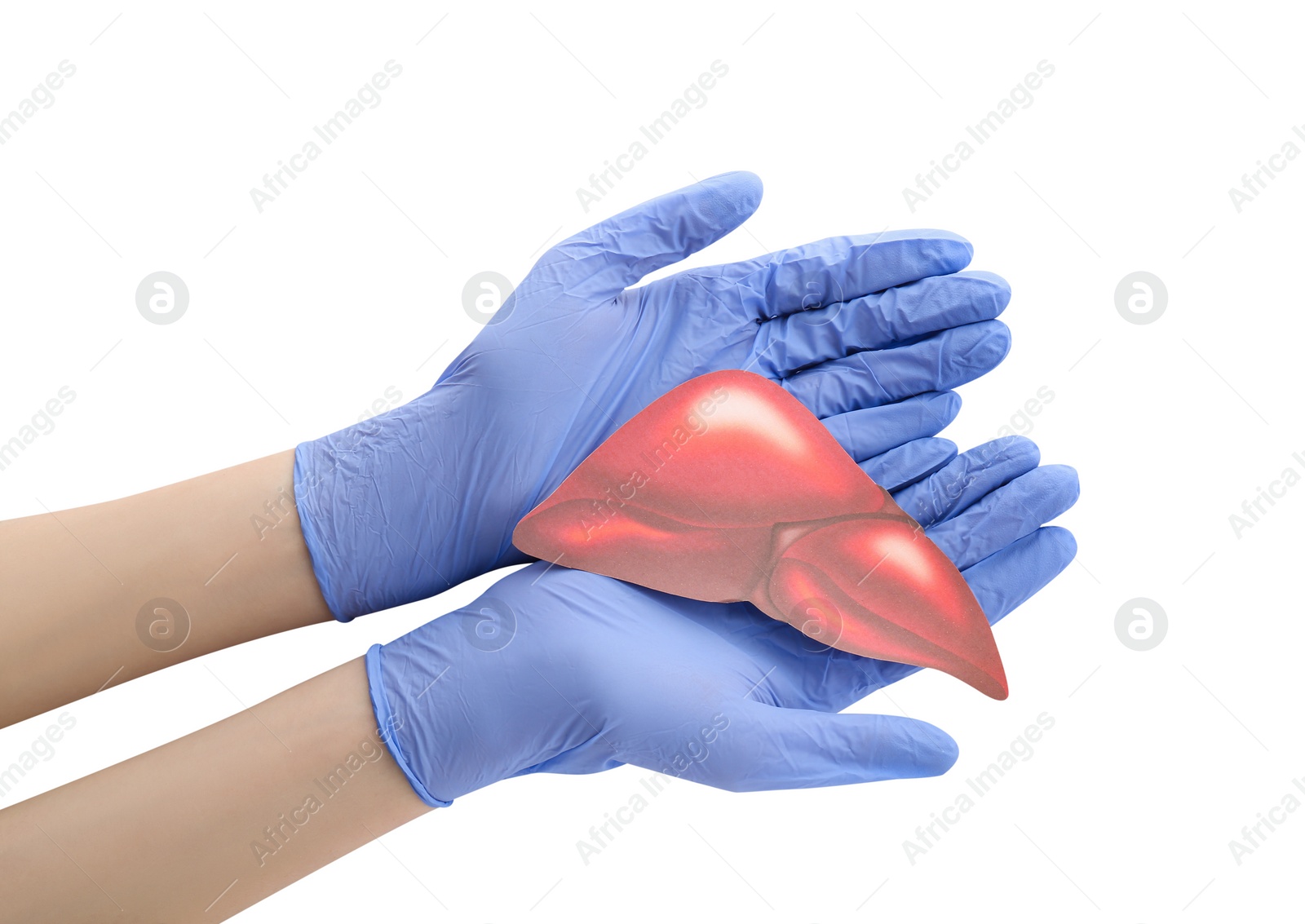 Photo of Doctor in gloves holding paper liver on white background, closeup and top view. Hepatitis treatment