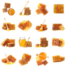 Image of Set with fresh delicious honeycombs on white background