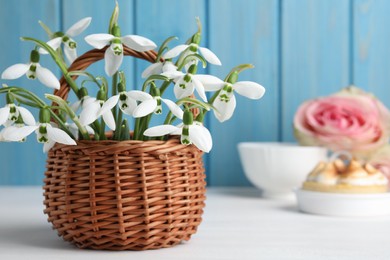 Photo of Beautiful snowdrops in wicker basket on white wooden table. Space for text