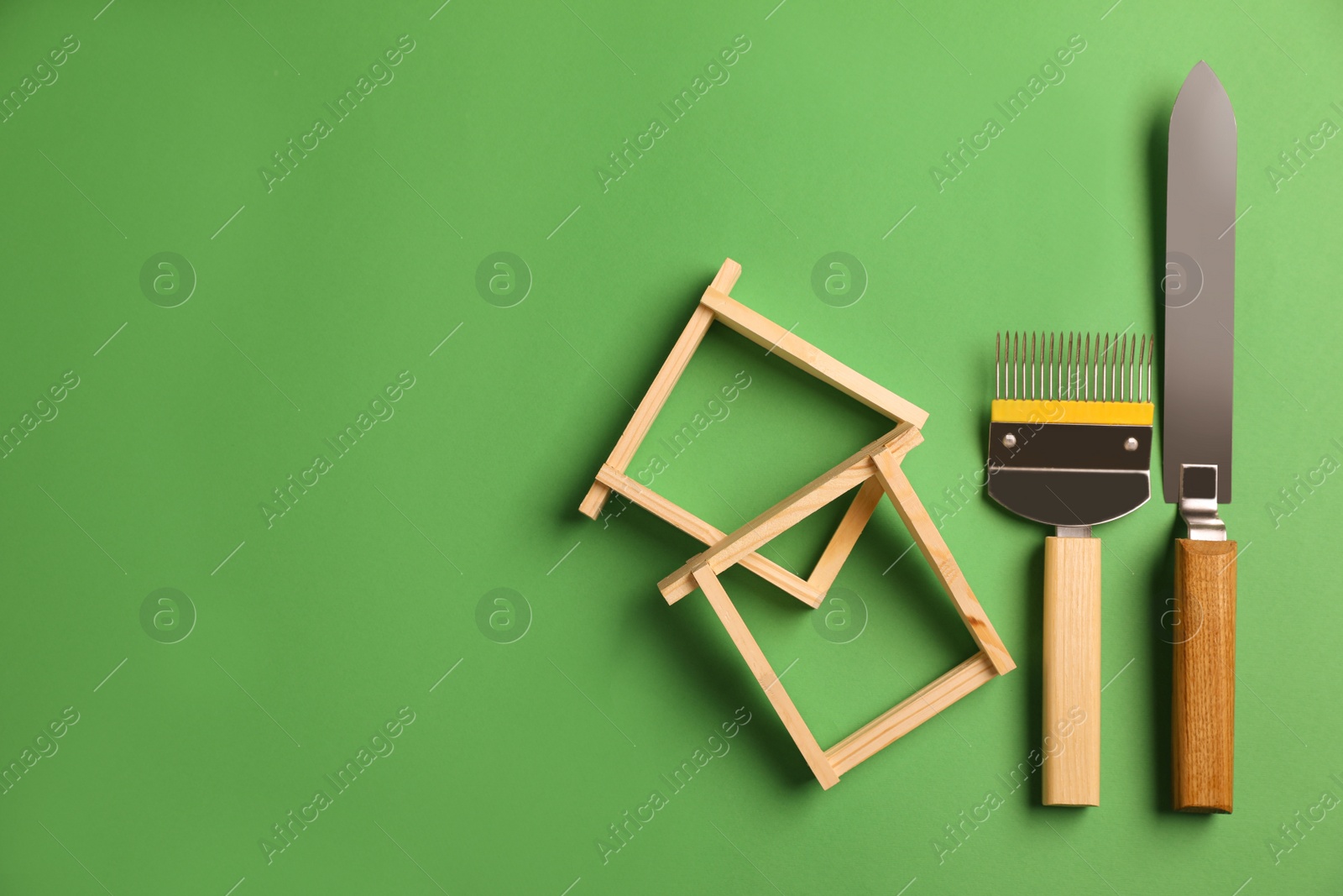 Photo of Beekeeping tools on green background, flat lay. Space for text