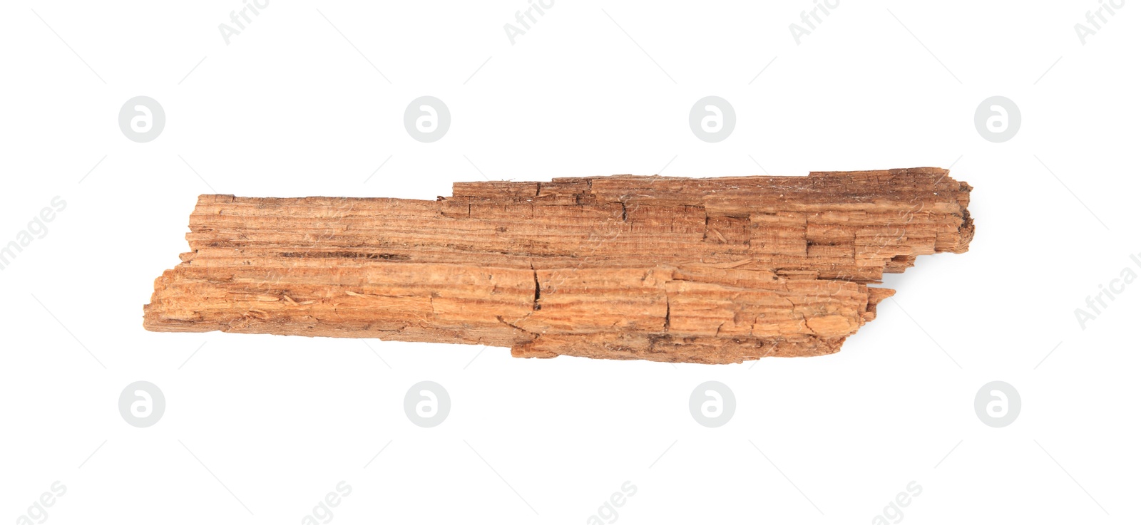 Photo of Tree bark piece on white background, top view