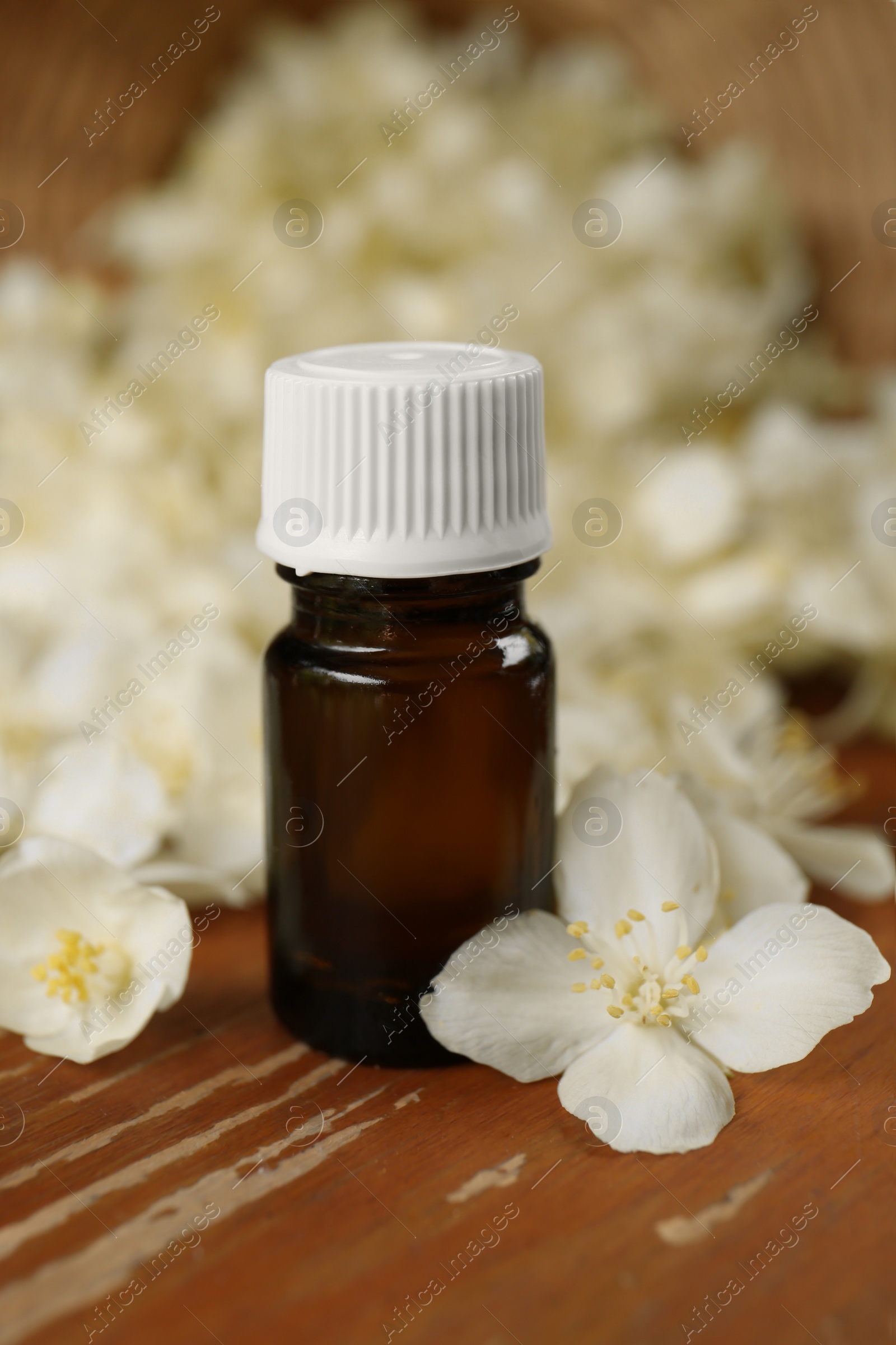 Photo of Bottle of jasmine essential oil and white flowers on wooden table, closeup