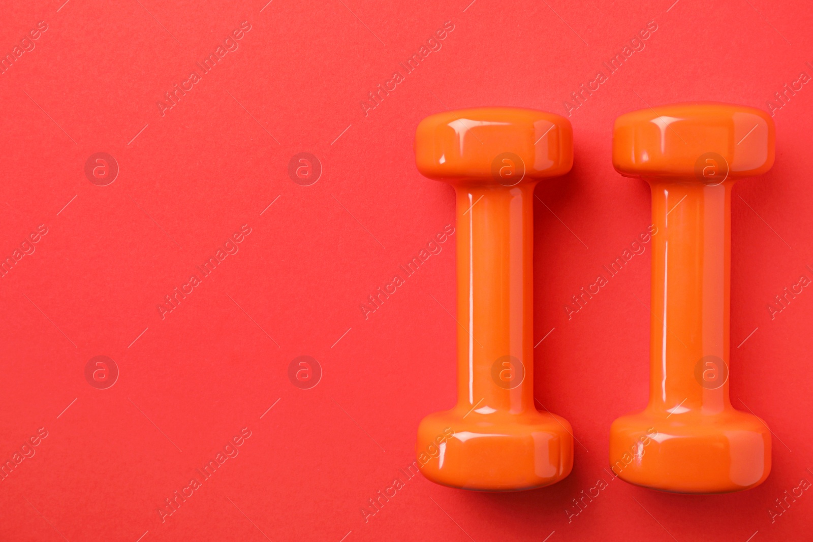 Photo of Bright dumbbells and space for text on color background, flat lay. Home fitness