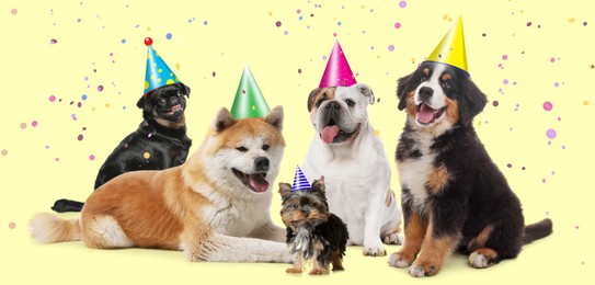 Adorable dogs with party hats on yellow background. Banner design 