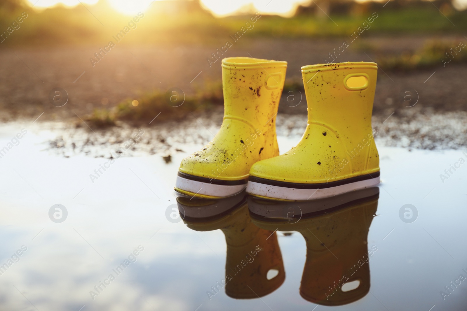 Photo of Yellow rubber boots in puddle outdoors, space for text. Autumn walk