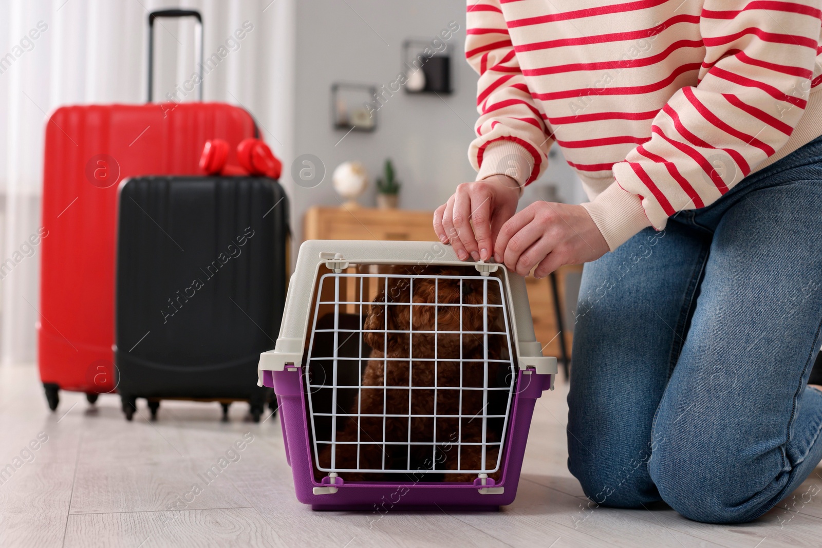 Photo of Woman closing carrier with her pet before travelling indoors, closeup. Space for text