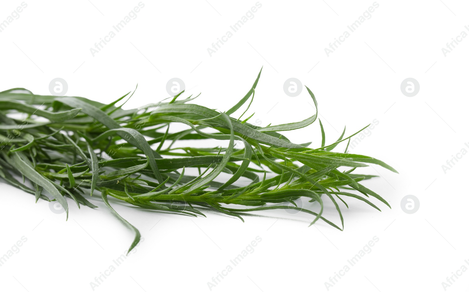 Photo of Bunch of fresh tarragon on white background