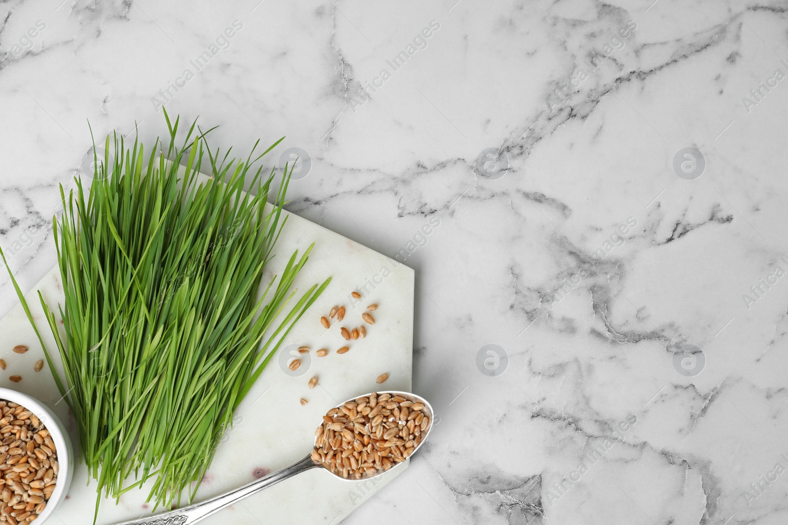 Photo of Flat lay composition with wheat grass and seeds on marble background, space for text