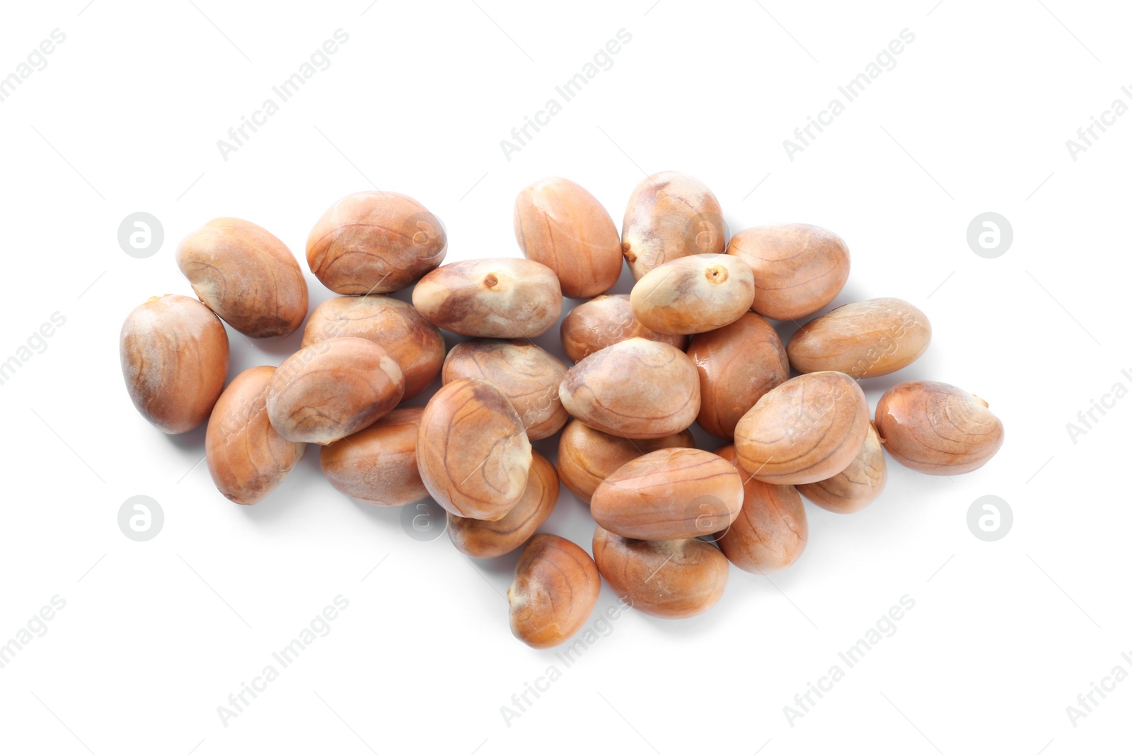 Photo of Many jackfruit seeds on white background, top view