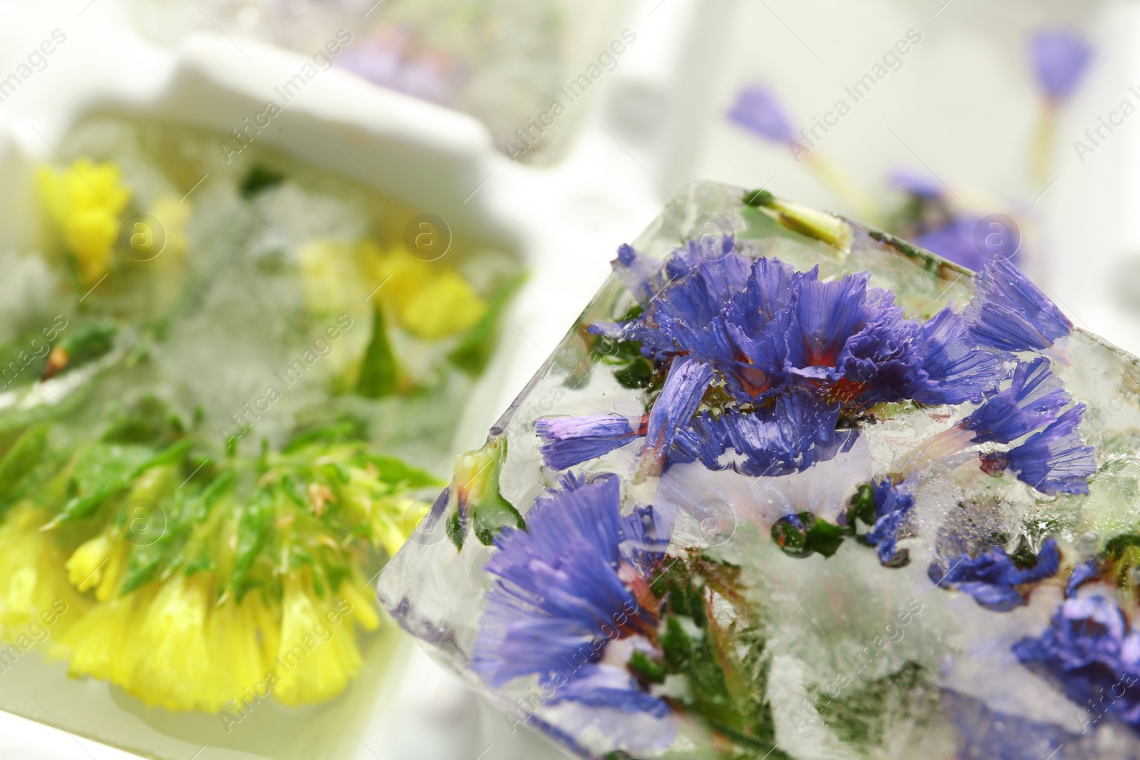 Photo of Ice cube with flowers on blurred background, closeup