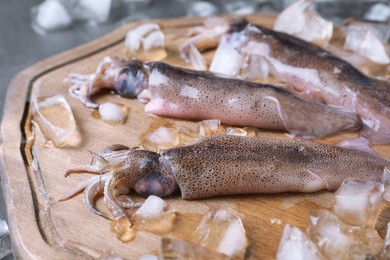 Fresh raw squids with ice on table, closeup