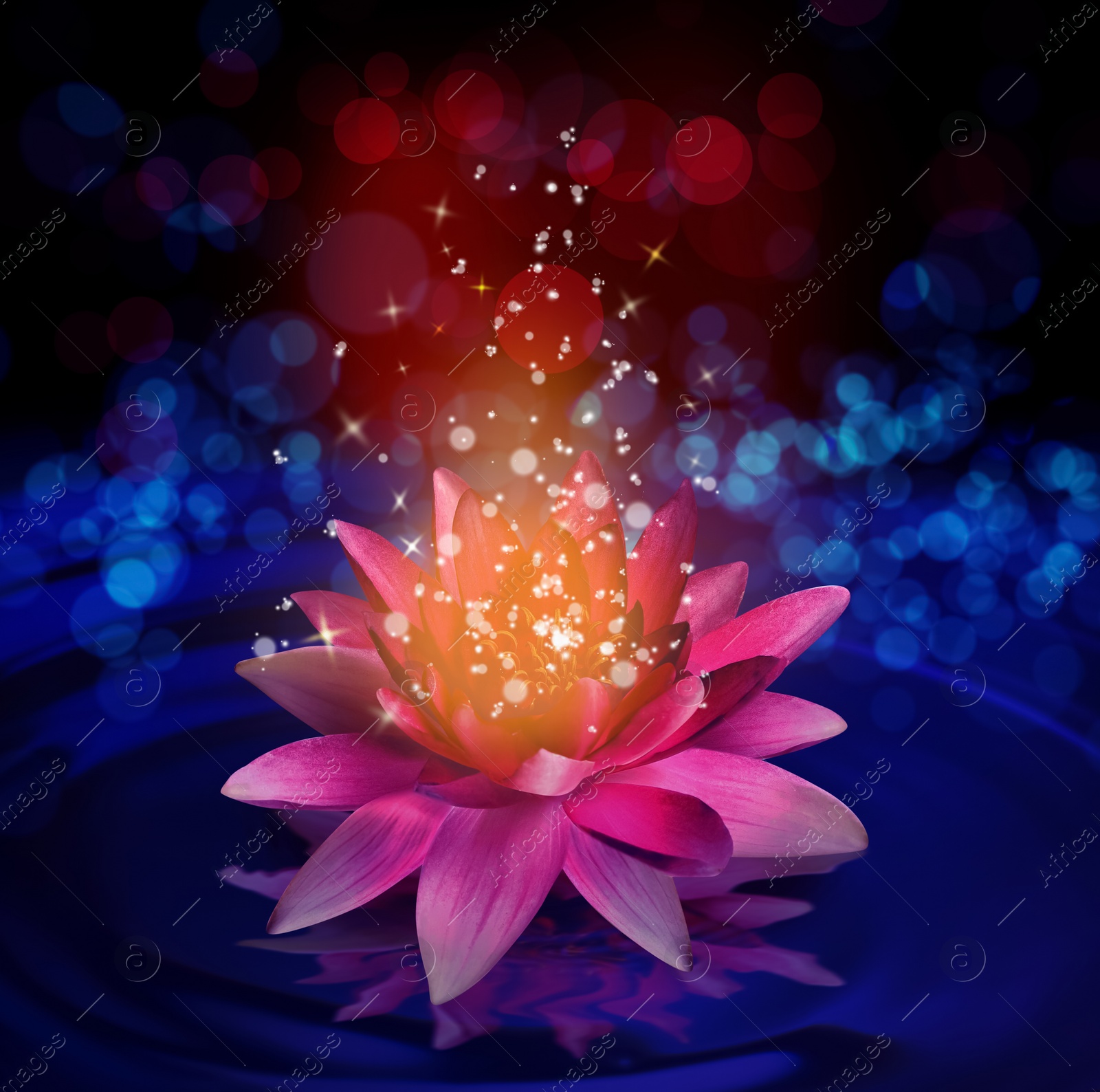 Image of Fantastic lotus flower with sparks on water surface, bokeh effect