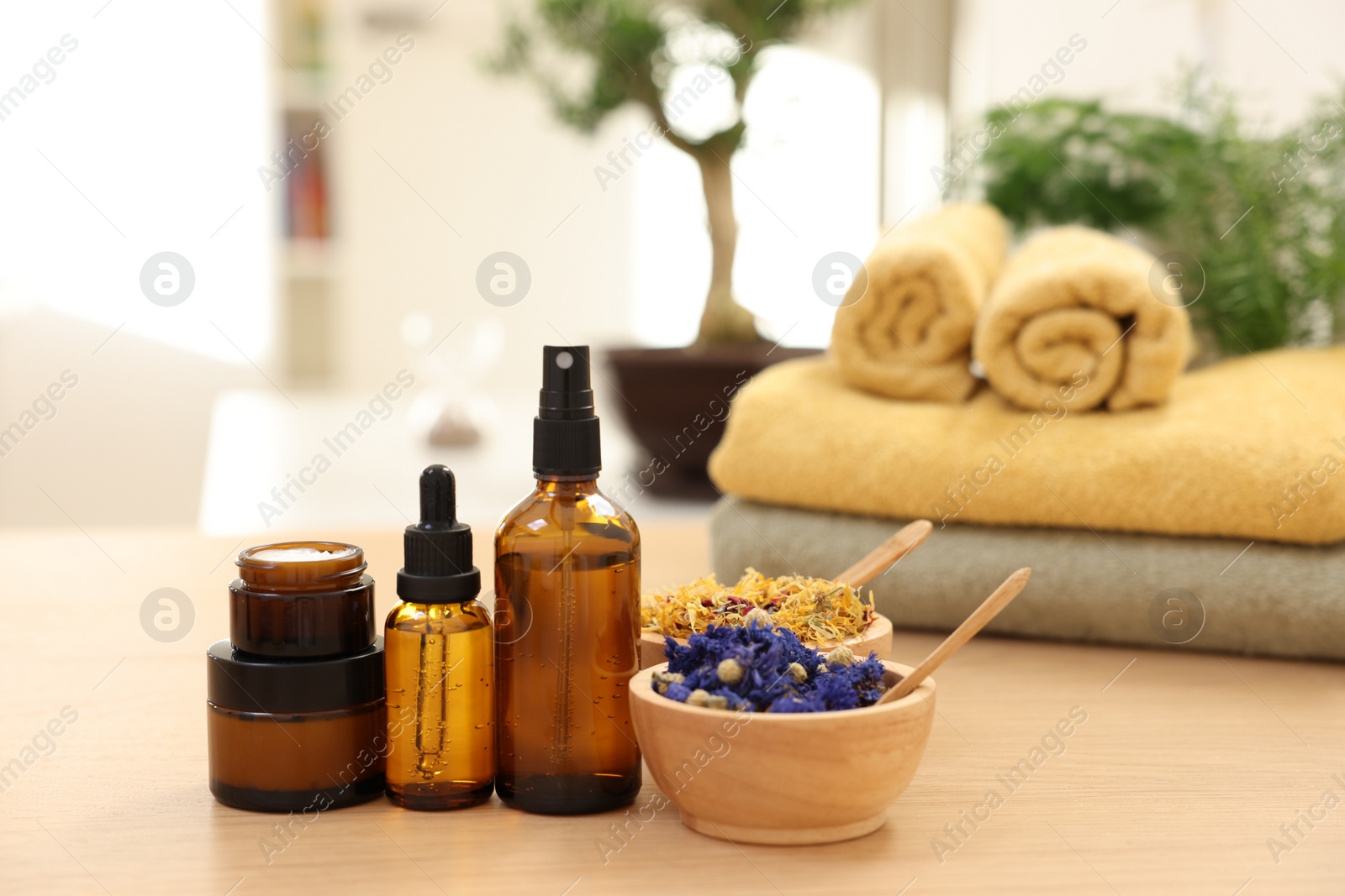 Photo of Bottles of essential oils, dry flowers and jars with cream on light wooden table, space for text. Spa therapy