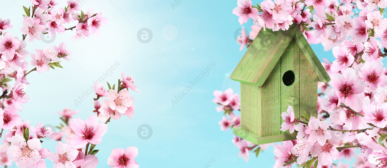 Image of Beautiful wooden bird house hanging on blossoming tree outdoors, banner design. Springtime