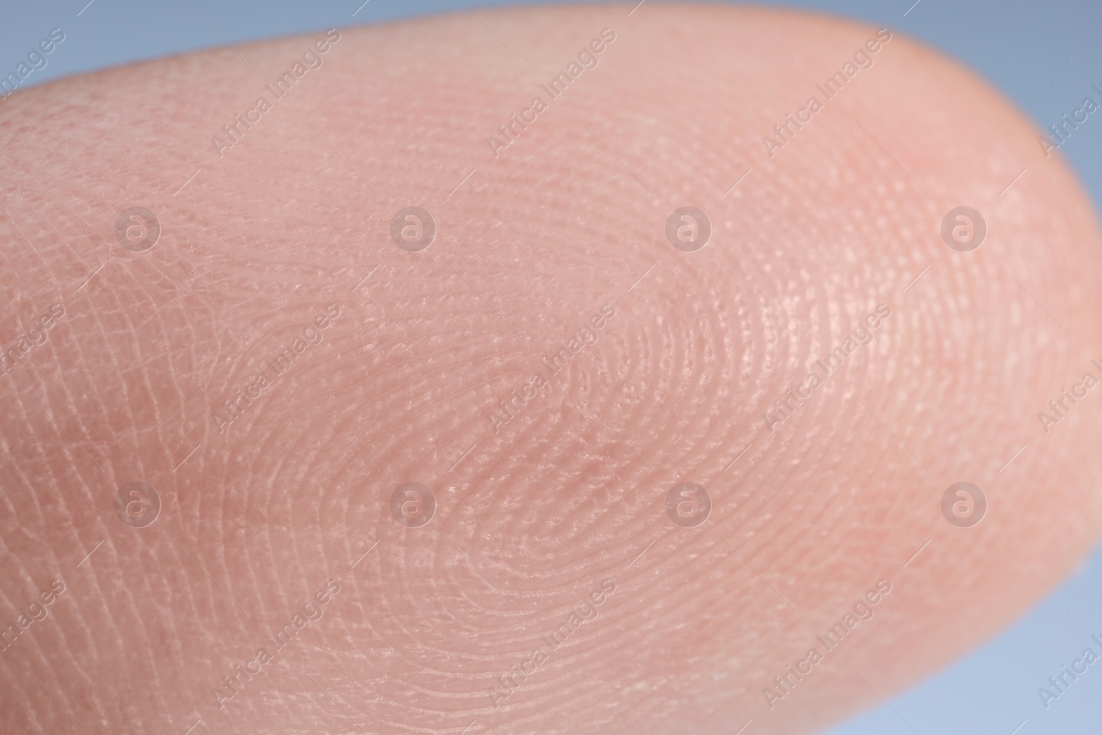 Photo of Macro view of finger with friction ridges